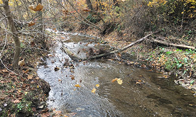 Cedar Creek